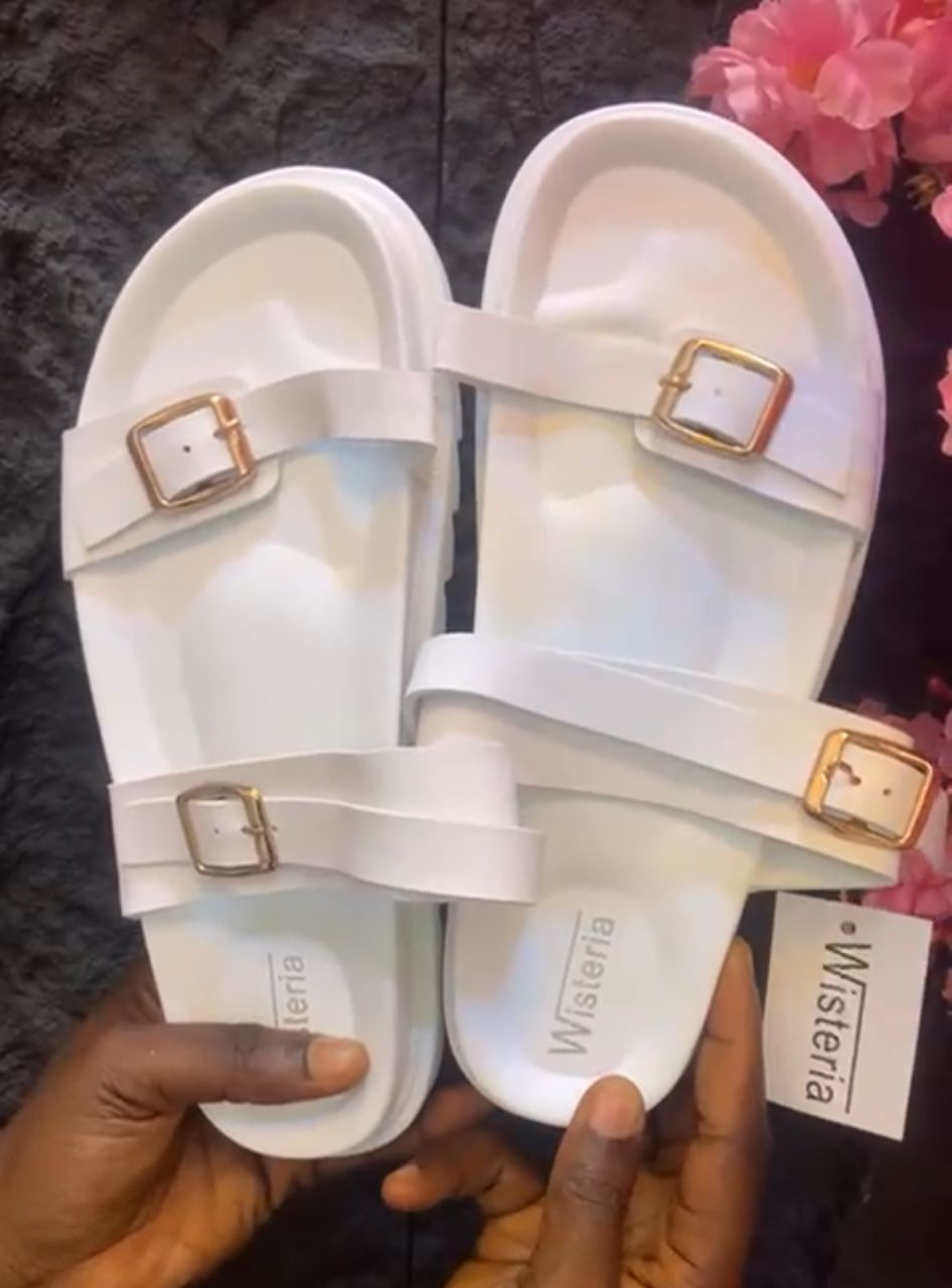 Wisteria Slides